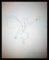 Drawings