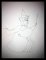 Drawings