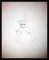 Drawings