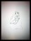 Drawings